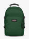 bristle green