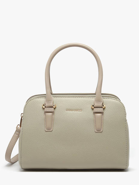 Sac à Main Alpes David jones Gris alpes CM6827H