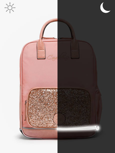 Sac à Dos 2 Compartiments Cameleon Rose vintage fantasy PBVGSD37 vue secondaire 7