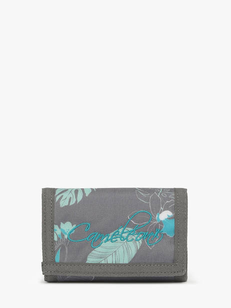Portefeuille Velcro Cameleon Gris actual PBBAWALL