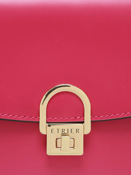 Sac Bandoulière M Altair Cuir Etrier Rose altair EALA081M vue secondaire 5