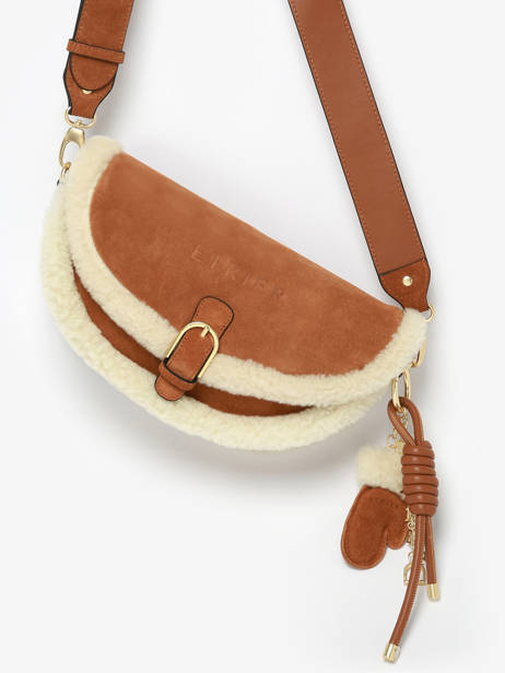Sac Bandoulière Alpin Cuir Etrier Marron alpin EALP050S vue secondaire 2