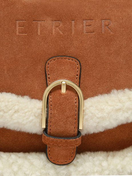 Sac Bandoulière Alpin Cuir Etrier Marron alpin EALP050S vue secondaire 5