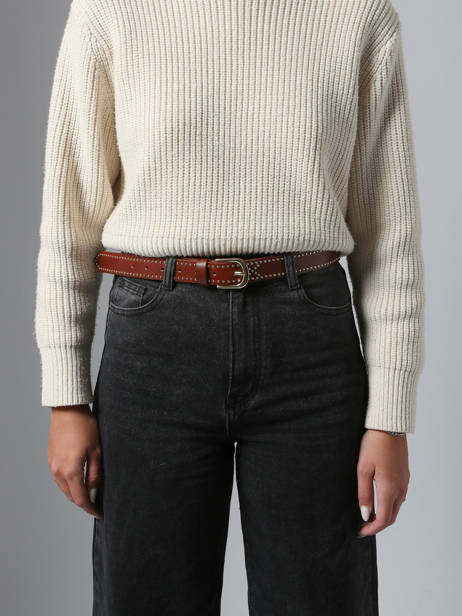 Belt Pieces Brown june 17160105 other view 1