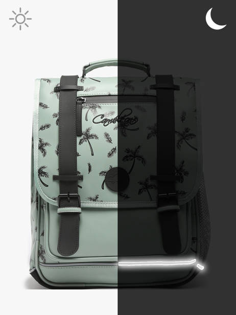 3-compartment Backpack Cameleon Green vintage north PBVWSD39 other view 7